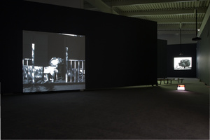 Belkin Art Galleries 2008 (photo Howard Ursuliak) 